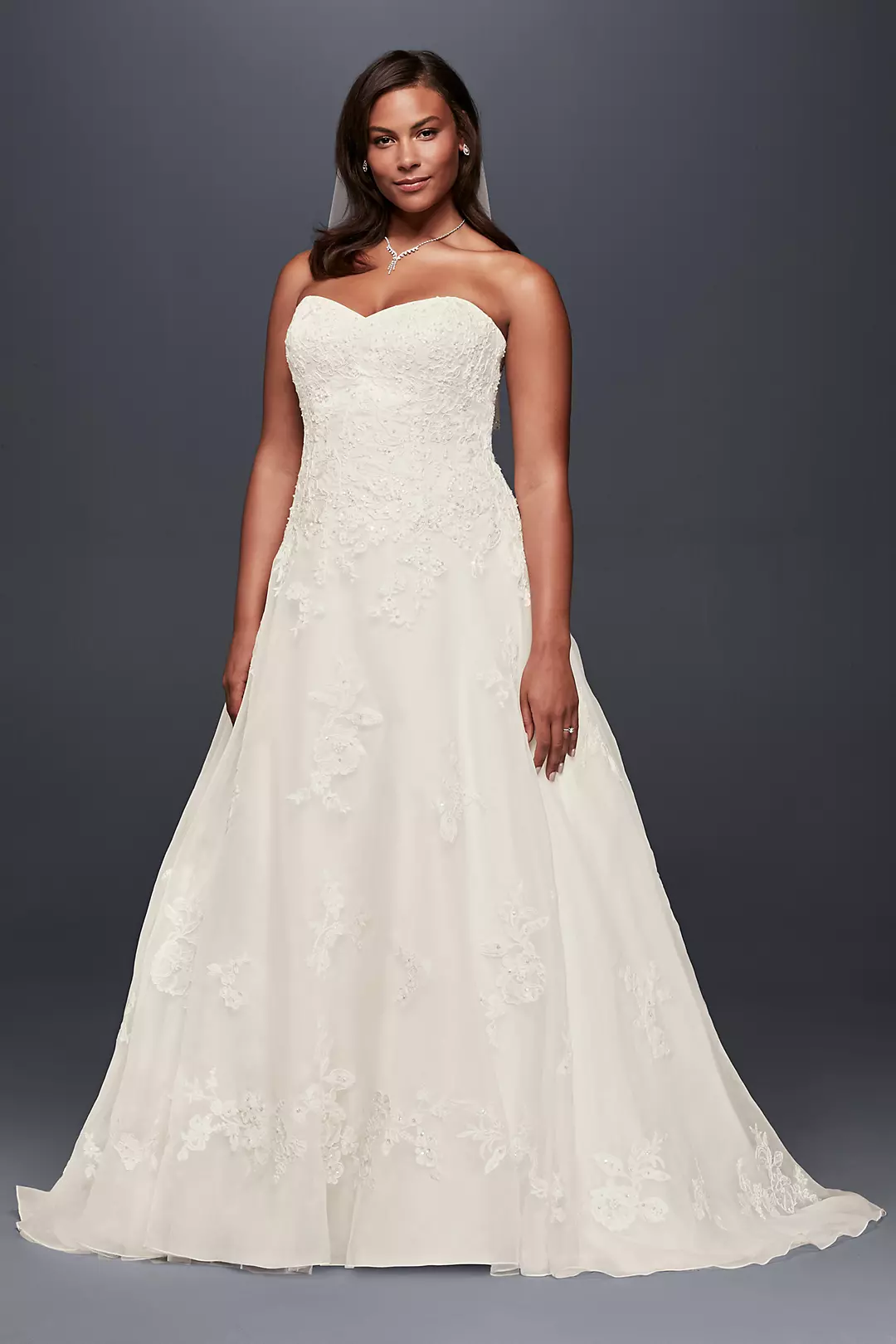 As-Is Beaded Organza A-Line Plus Size Wedding Dres Image