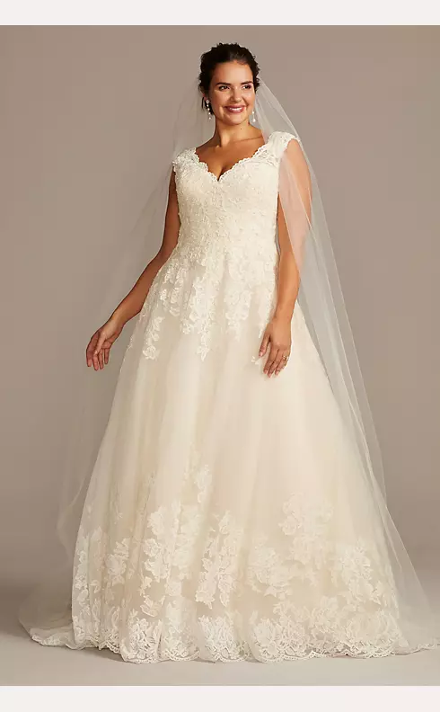 As Is V-Neck Lace Tulle Plus Size Wedding Dress Image 1
