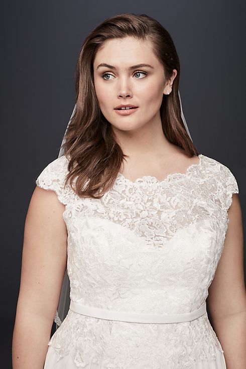 As-Is Illusion Lace Plus Size Wedding Dress Image 3