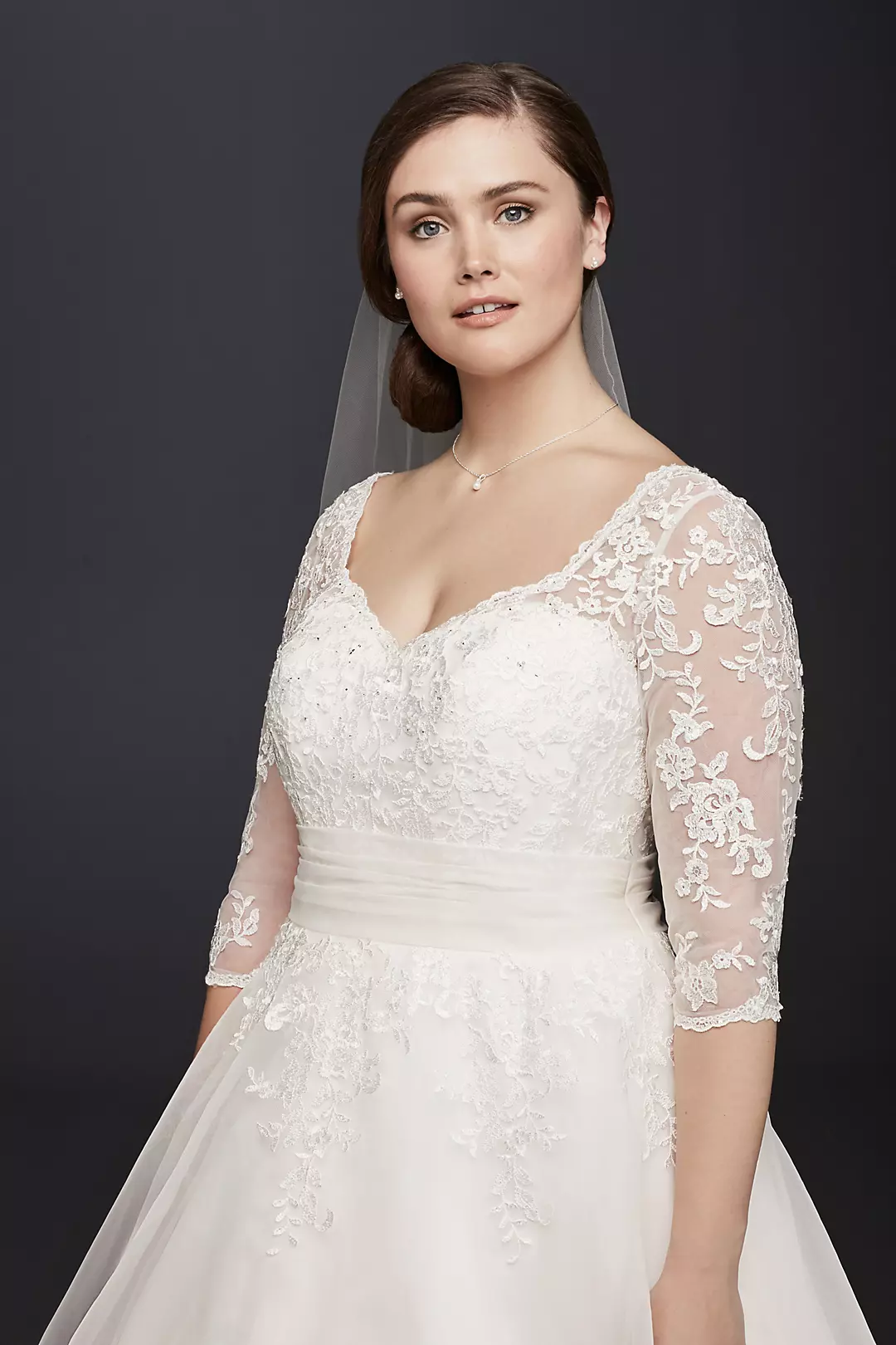 Tulle Plus Size Tea-Length Wedding Dress Image 3