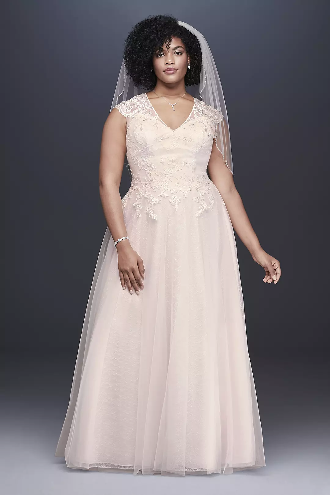 Tulle-Over-Lace V-Neck A-Line Wedding Dress Image