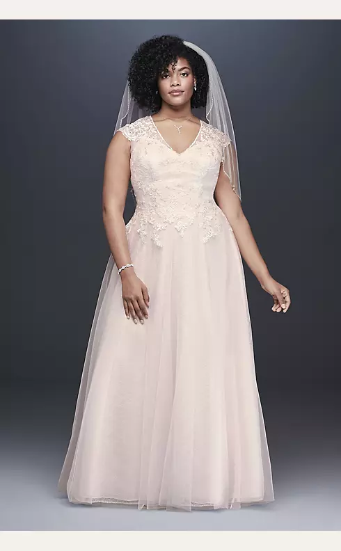 Tulle-Over-Lace V-Neck A-Line Wedding Dress Image 1