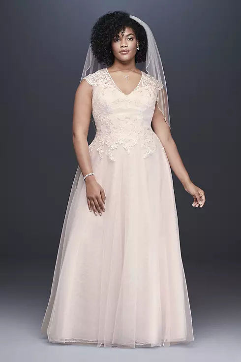 Tulle-Over-Lace V-Neck A-Line Wedding Dress Image 1
