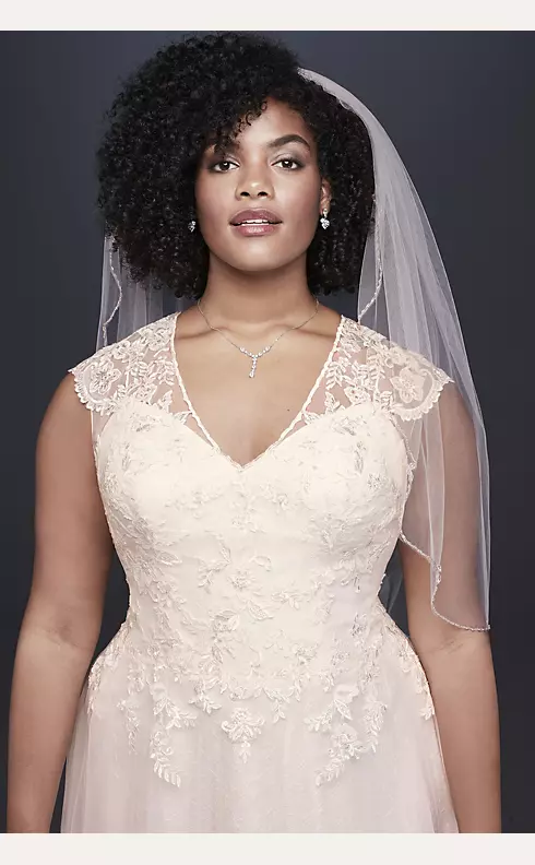 Tulle-Over-Lace V-Neck A-Line Wedding Dress Image 3