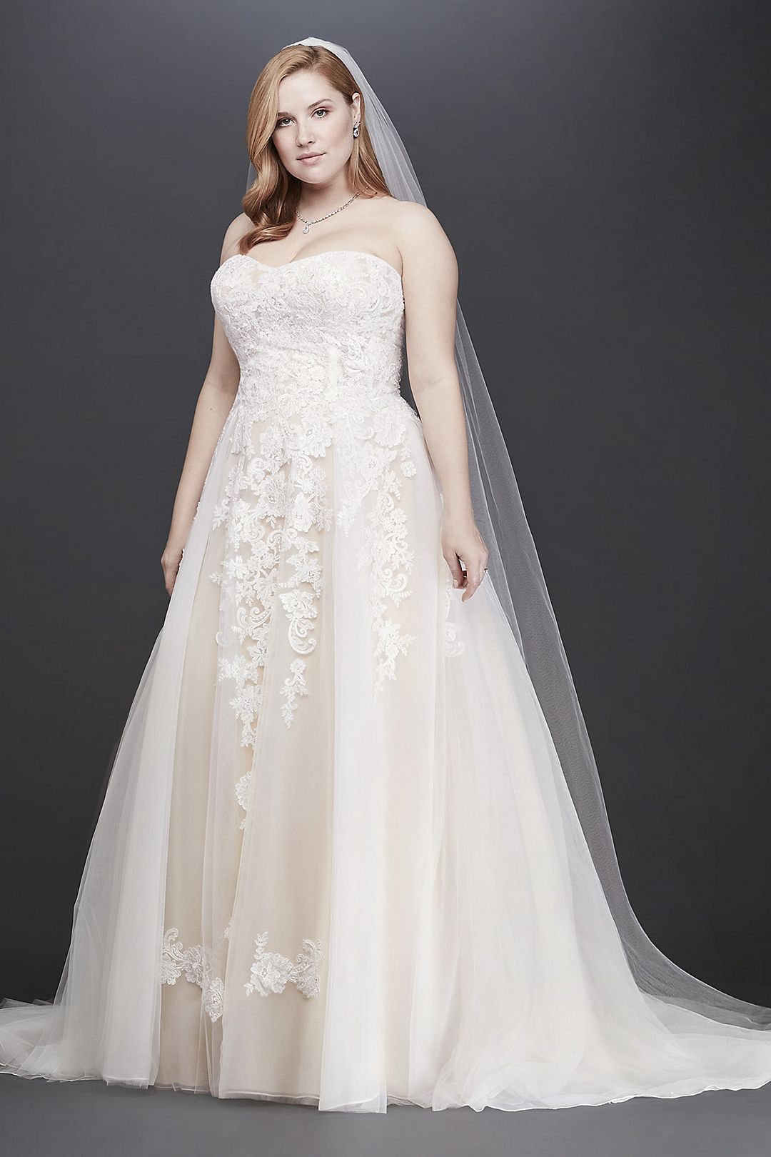 As-Is Sheer Lace and Tulle Plus Size Wedding Dress Image 1