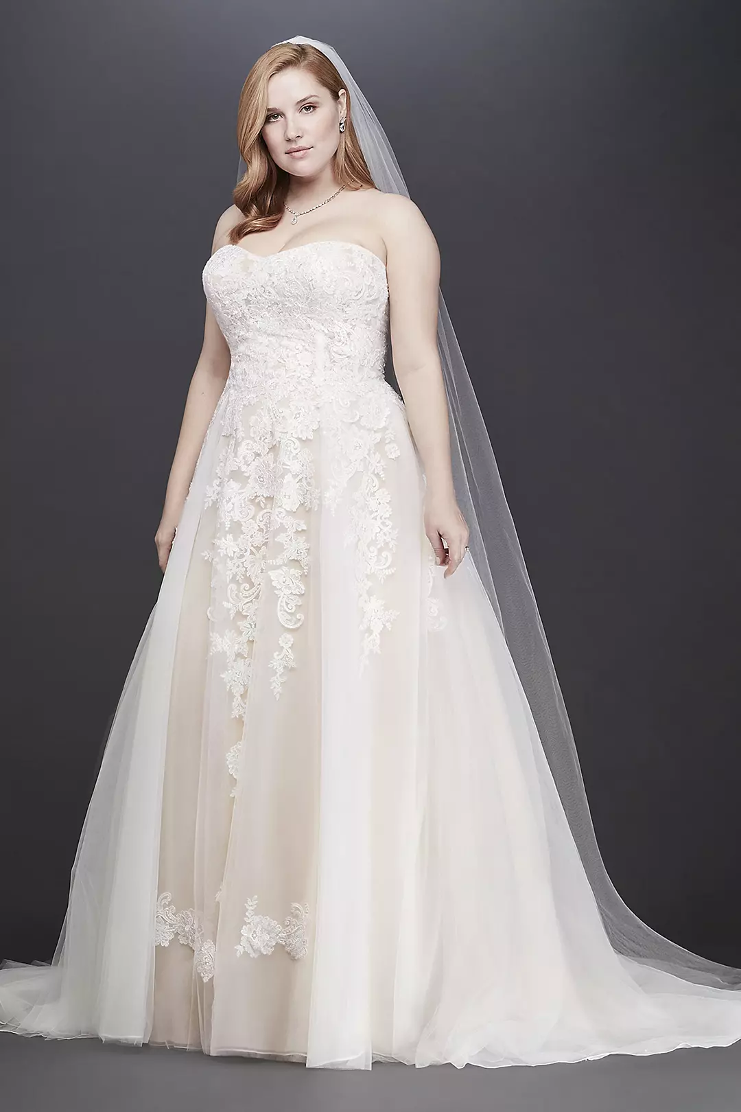 As-Is Sheer Lace and Tulle Plus Size Wedding Dress Image