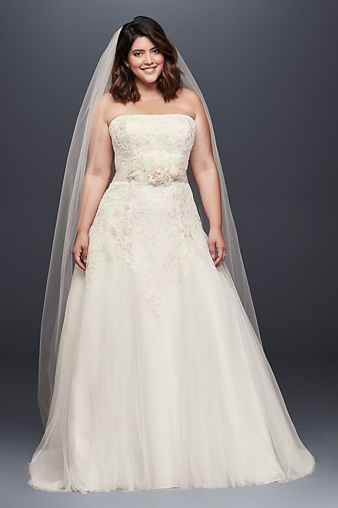 Lace-Appliqued Tulle A-Line Wedding Dress  Image