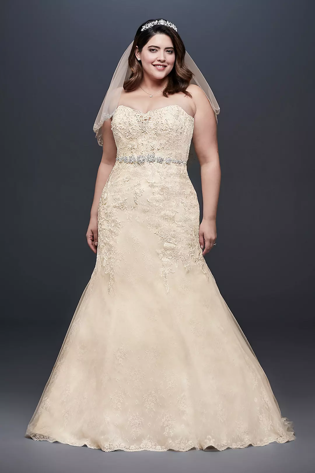 As-Is Beaded Lace Plus Size Mermaid Wedding Dress  Image