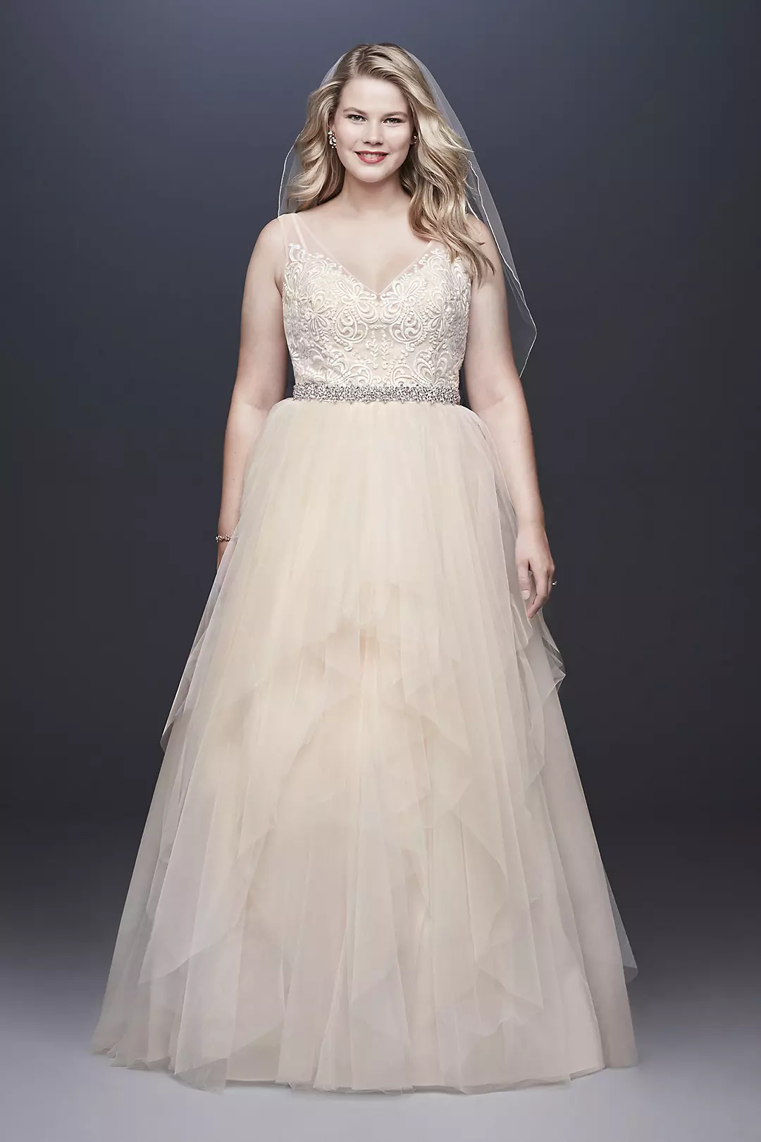 Tulle Tank V-Neck Ball Gown with Layered Skirt Image