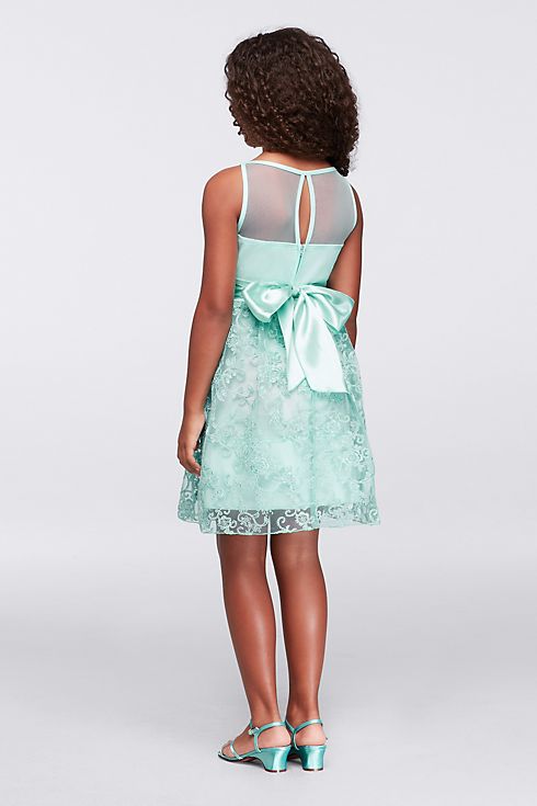 Corded Lace Dress with Illusion Neckline Image 3