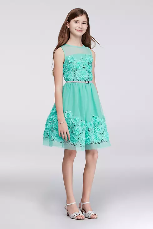 Chiffon Party Dress with 3-D Ribbon Flowers Image 1