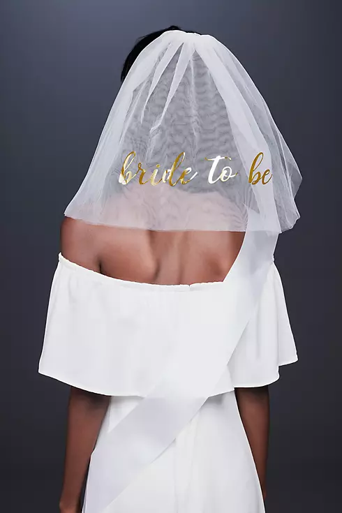 Bride To Be Veil Image 4
