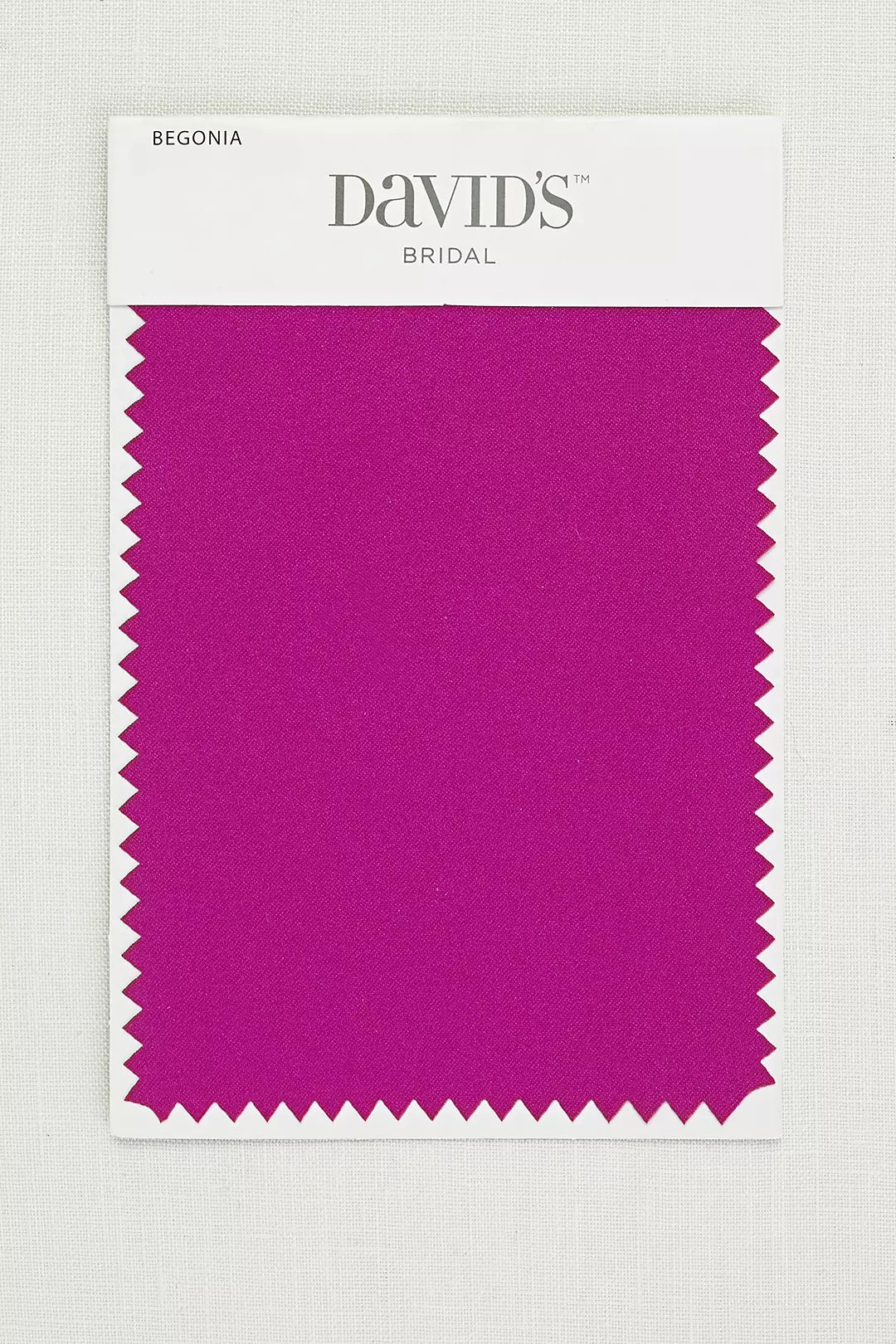 Begonia Fabric Swatch Image