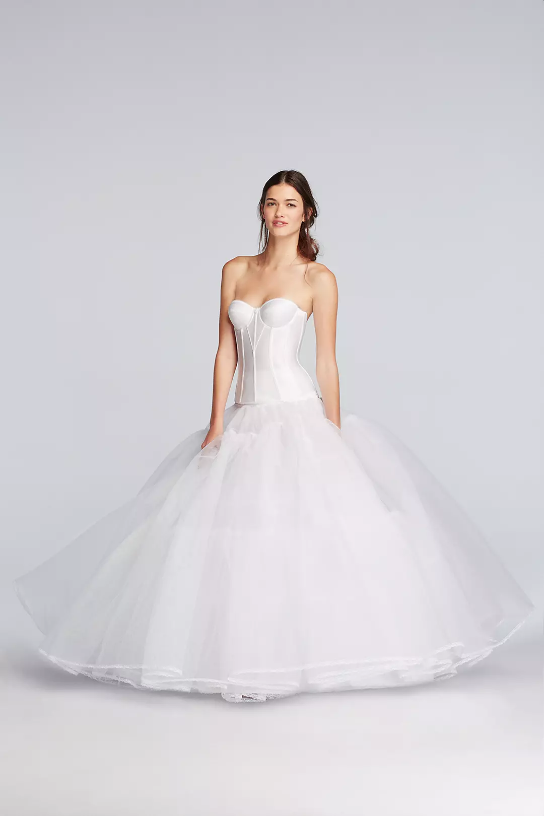 Extreme Ball Gown Hoop Plus Size Slip Image