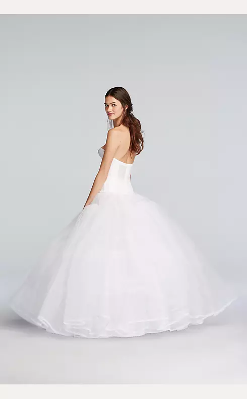 Extreme Ball Gown Hoop Plus Size Slip Image 2