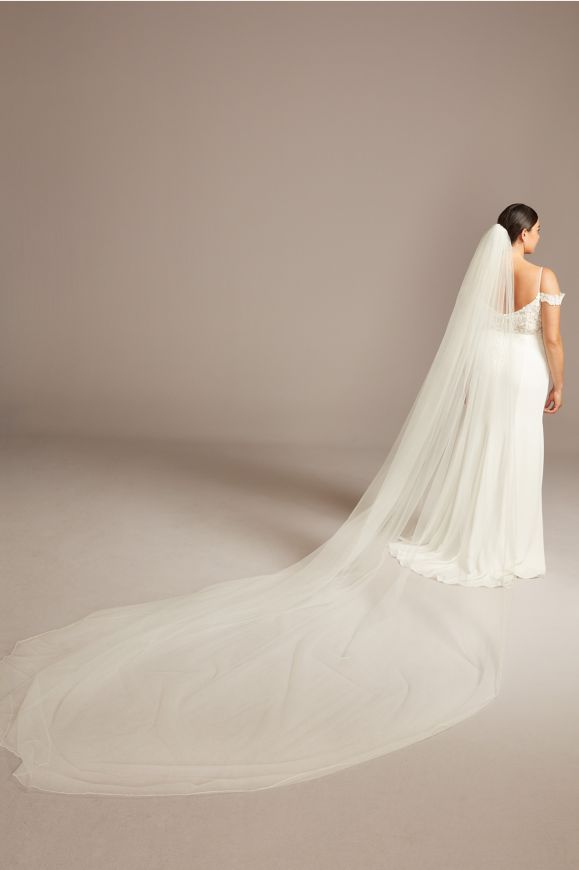 back of bride wearing a wedding dress showing off long train veil