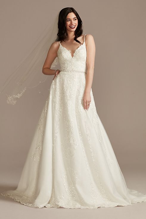 Lace Applique Tulle Wedding Dress Image