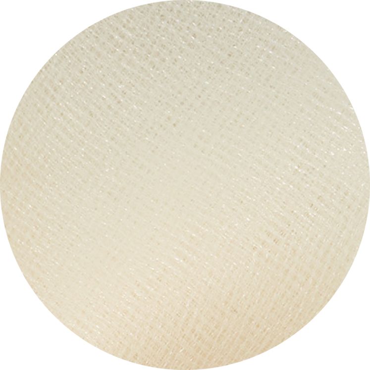 champagne dress swatch
