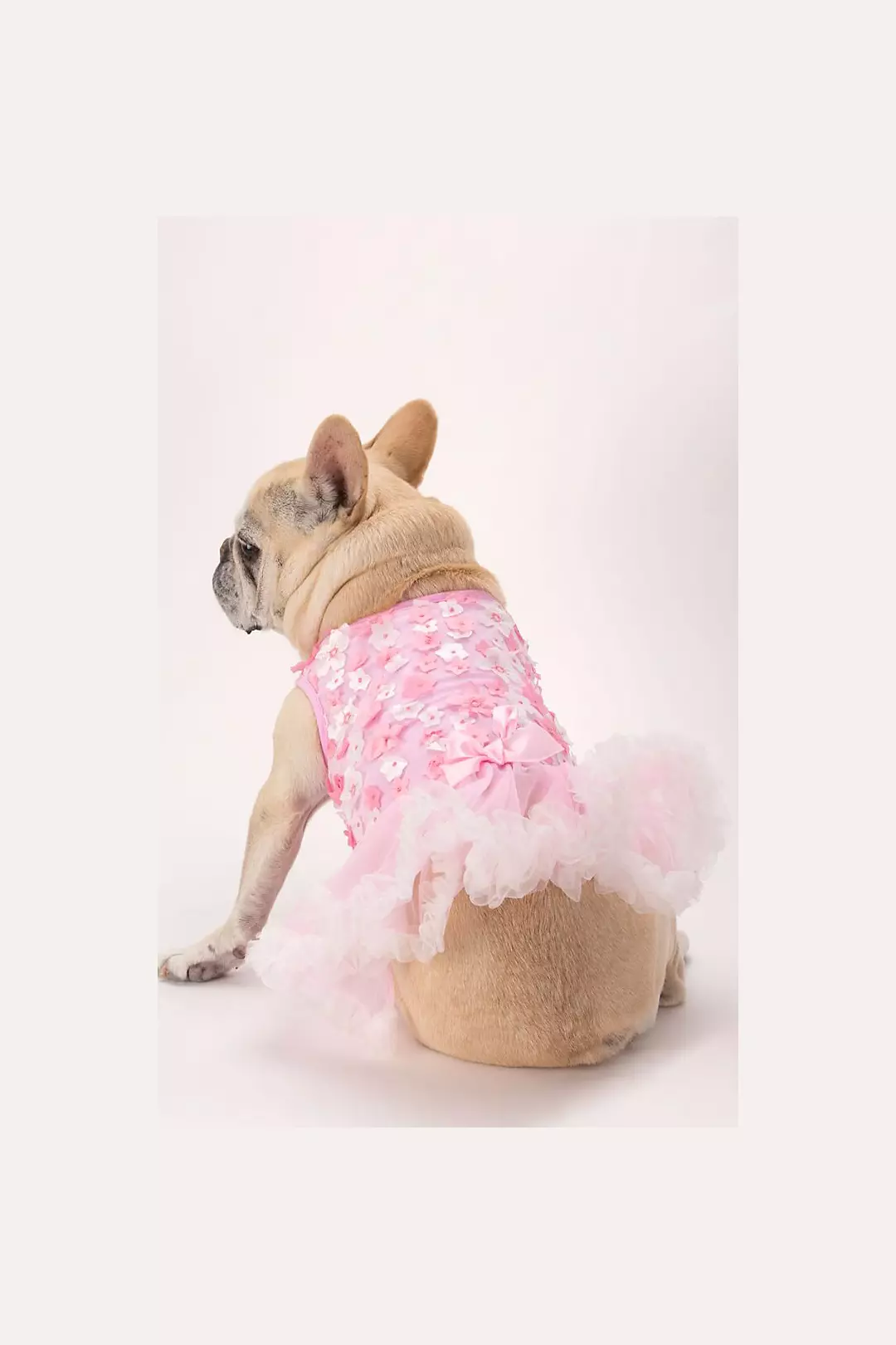 Pink 3D Floral Embellished Dog Dress Image