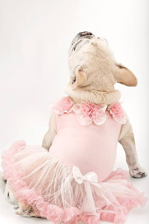 Sweet Floral Trimmed Pink Dog Dress Image 1