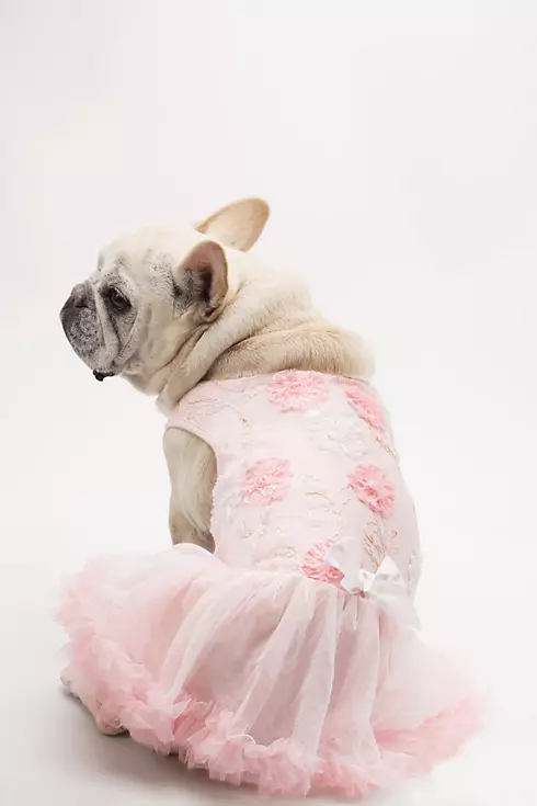 Pink and White Floral Embellished Dog Dress Image 1