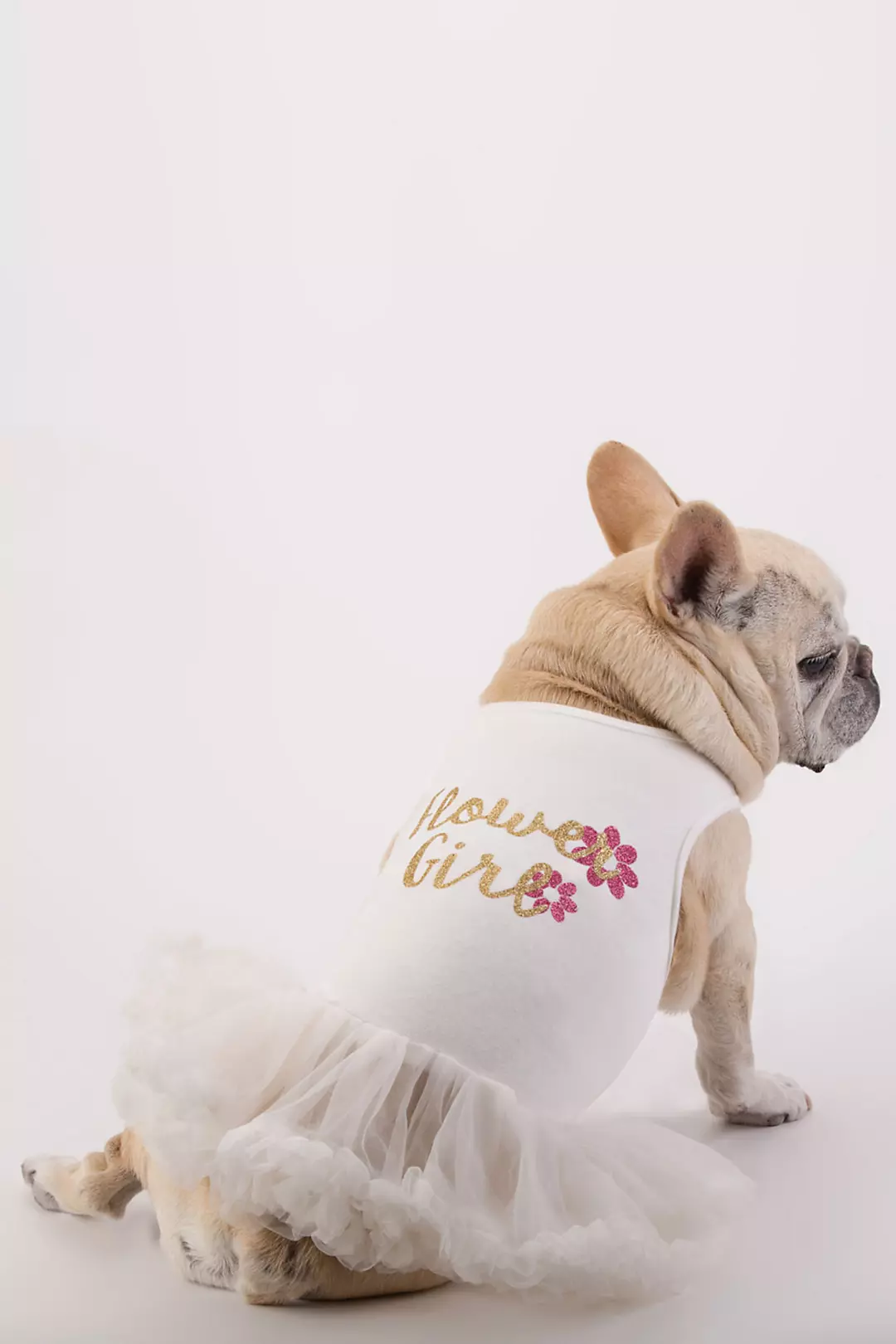 Flower Girl Glitter Script Dog Dress Image