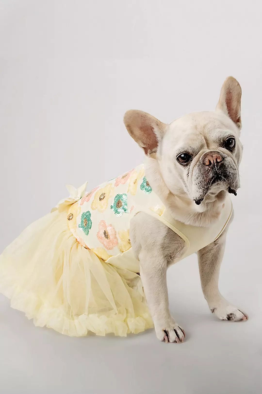 Pastel Sequin Floral Embellished Dog Dress Image 2