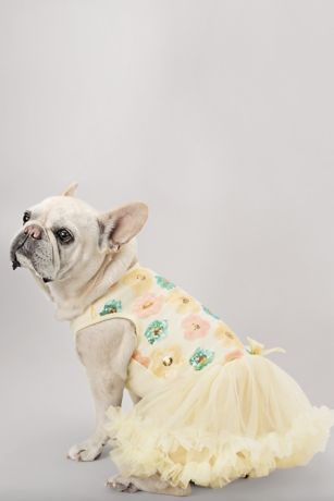 Pastel Sequin Floral Embellished Dog Dress