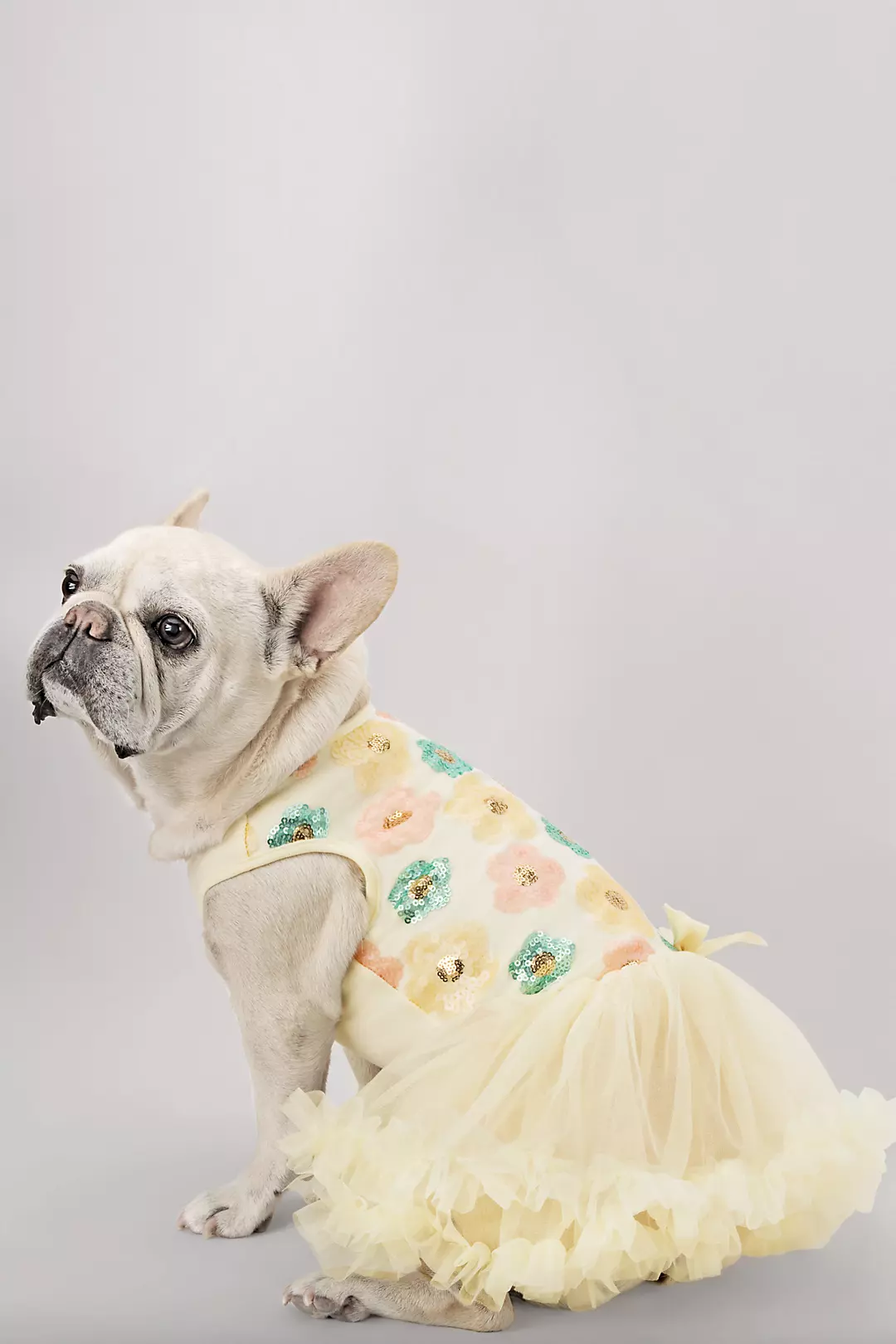 Pastel Sequin Floral Embellished Dog Dress Image