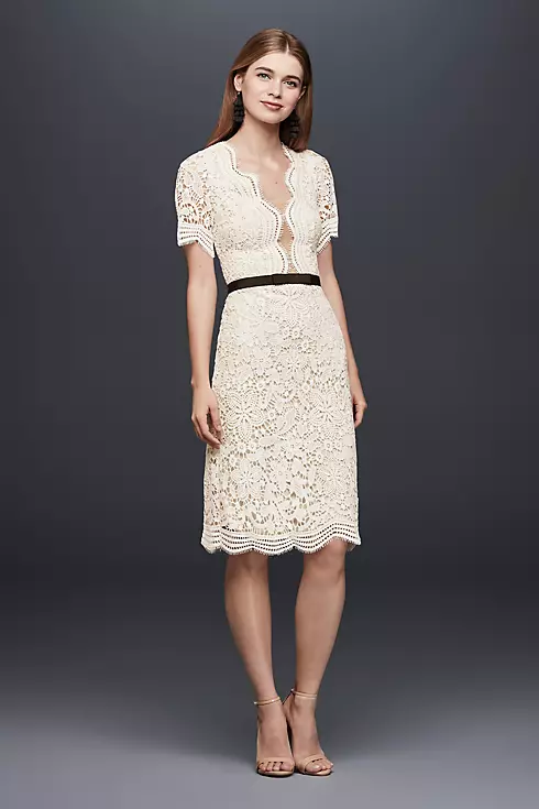 Illusion Lace Shift Dress with Contrast Ribbon Image 1