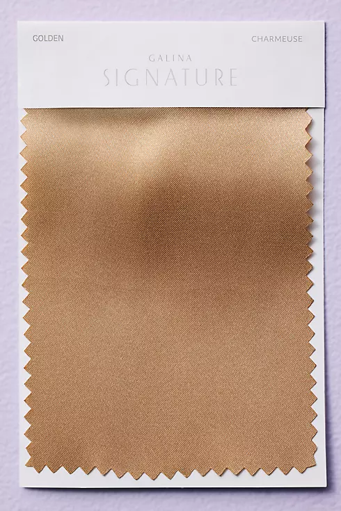 Golden Fabric Swatch Image 1