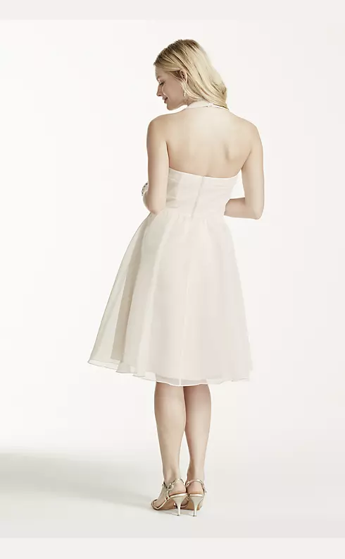 Short Halter Organza Dress with Full Skirt Image 3