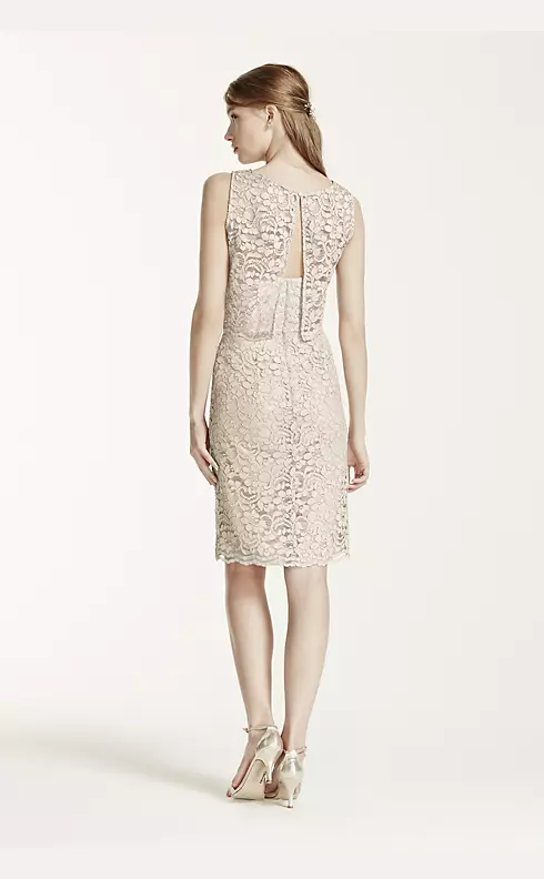 Short Lace Dress with Removable Popover Top Image 5
