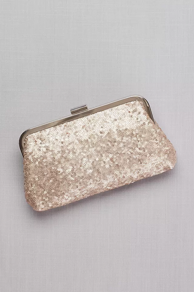 Sequin Evening Pouch Image