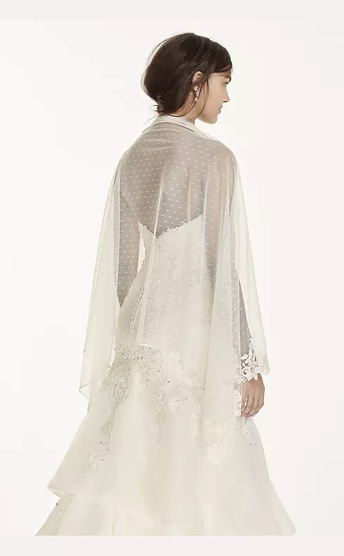 Dot Tulle Wrap with Lace Trim Image 2