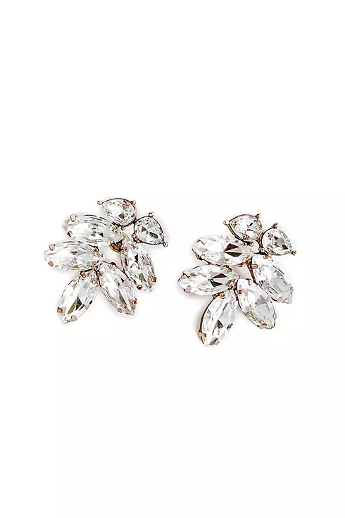 Swarovski Crystal and Sterling Leaf Earrings Image 1