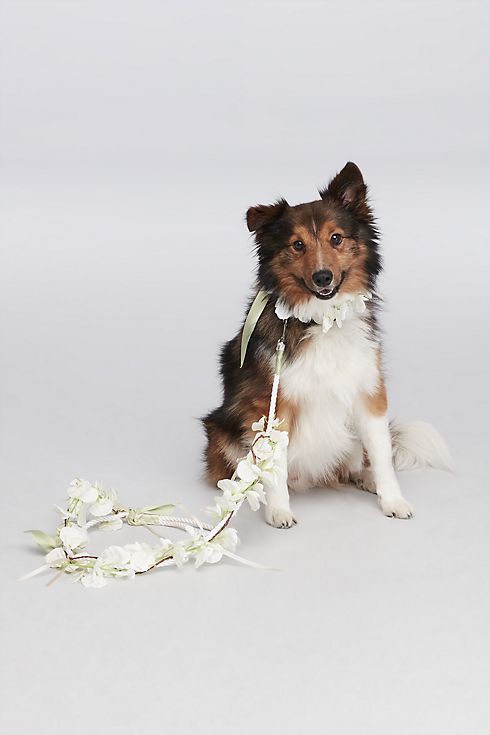 Floral Ribbon Dog Leash Image 5