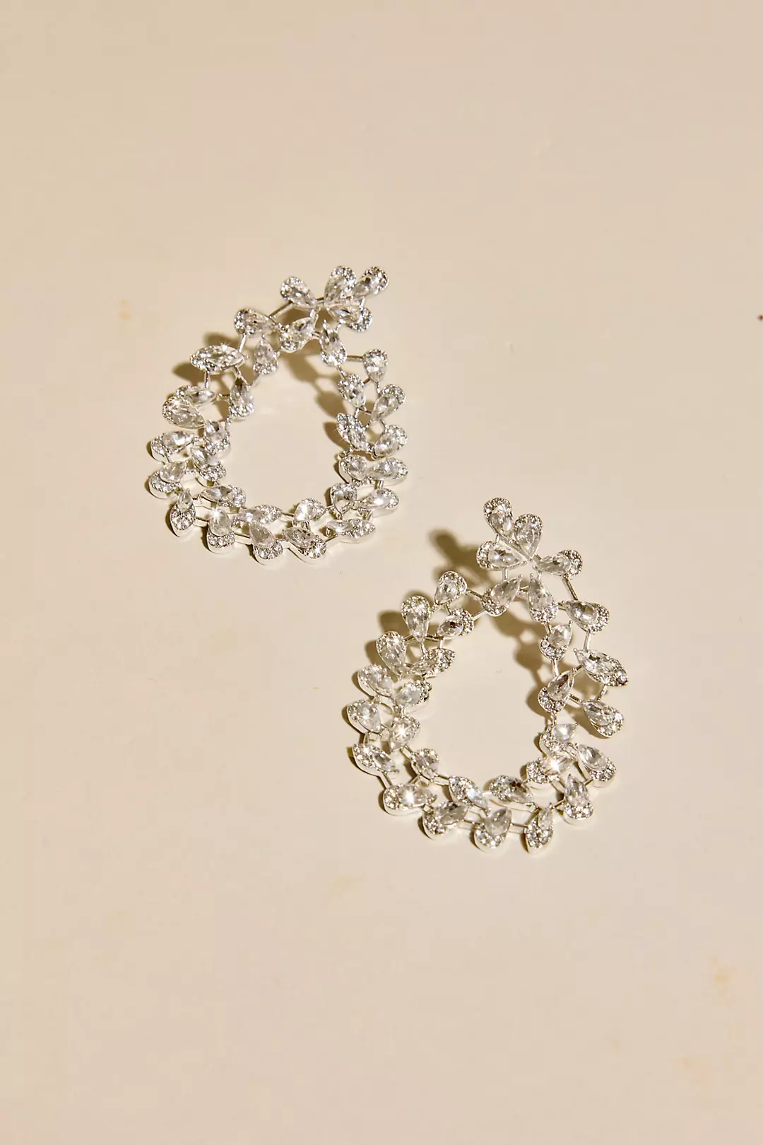 Cubic Zirconia Encircled Leaf Earrings Image