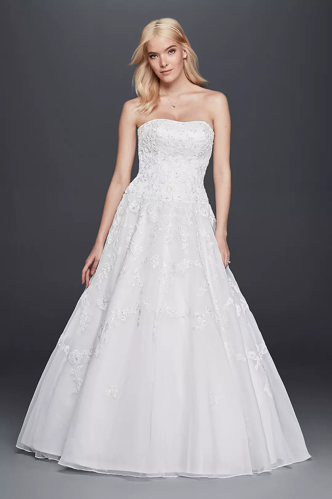 Strapless Lace Drop Waist Ball Gown Wedding Dress Image