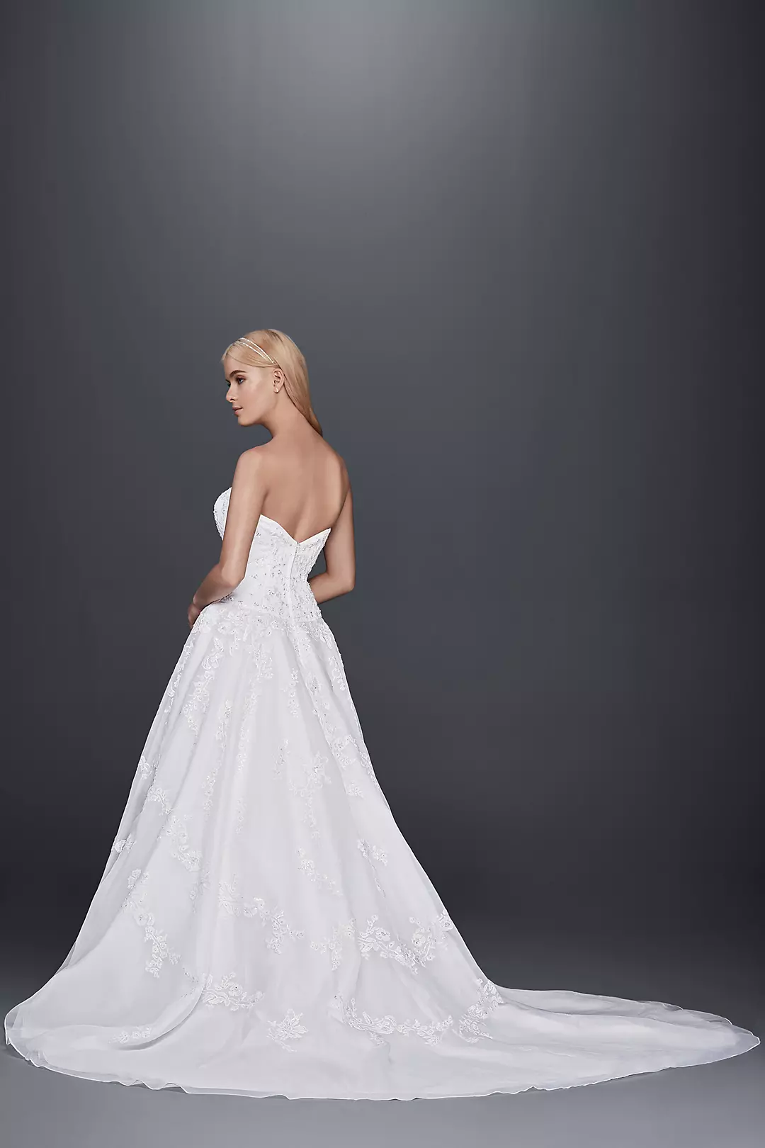 Strapless Lace Drop Waist Ball Gown Wedding Dress Image 2