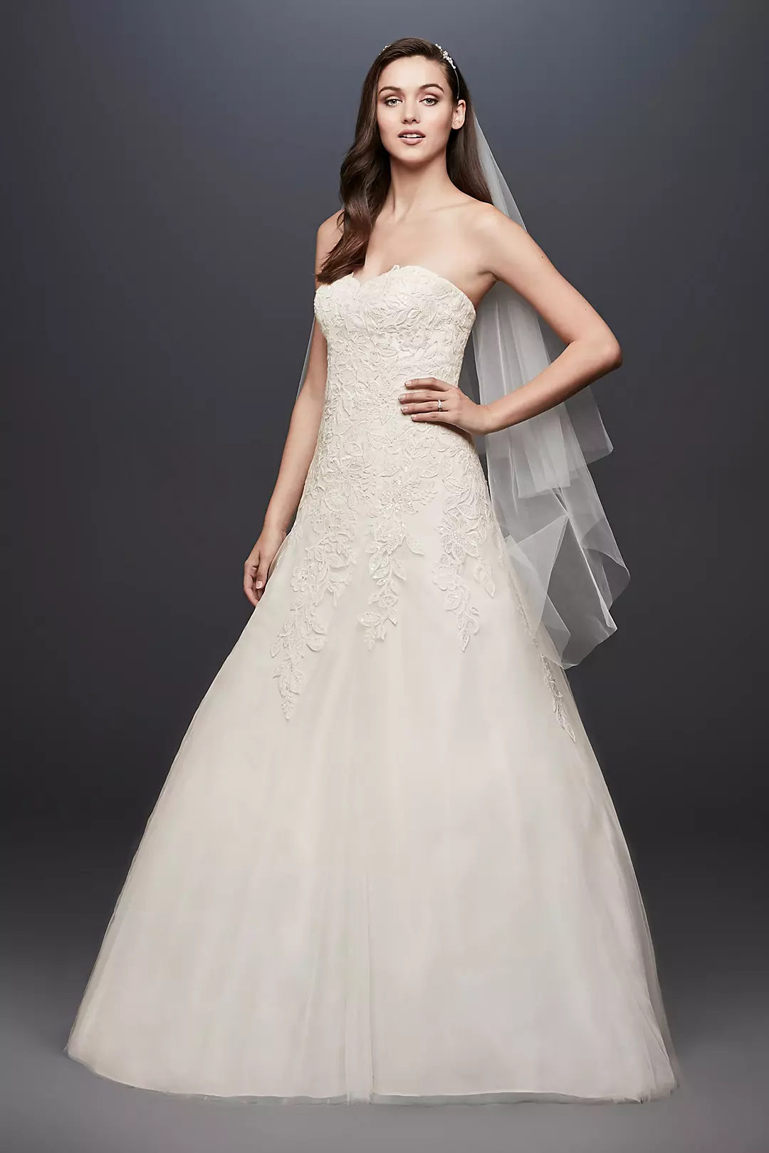 Soft Tulle Wedding Dress with Leaf Lace Applique Image