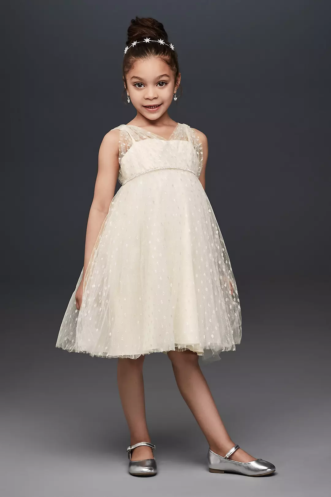 Silver  Dots Flower Girl Dress with Crystal Belt Image