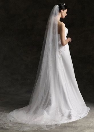 Cathedral Length Veil with Pearls and Pencil Edge Image