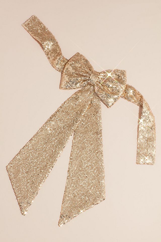 Allover Sequin Flower Girl Sash with Back Bow Image 5