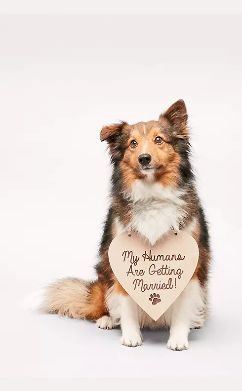 My Humans Are Getting Married Sign Image 1