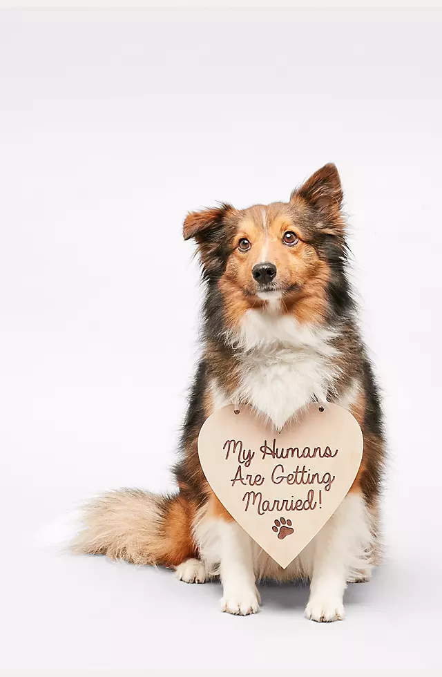 My Humans Are Getting Married Sign Image
