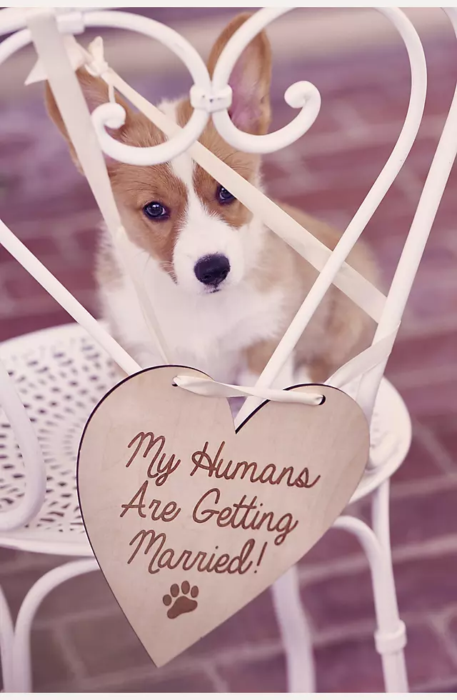 My Humans Are Getting Married Sign Image 4