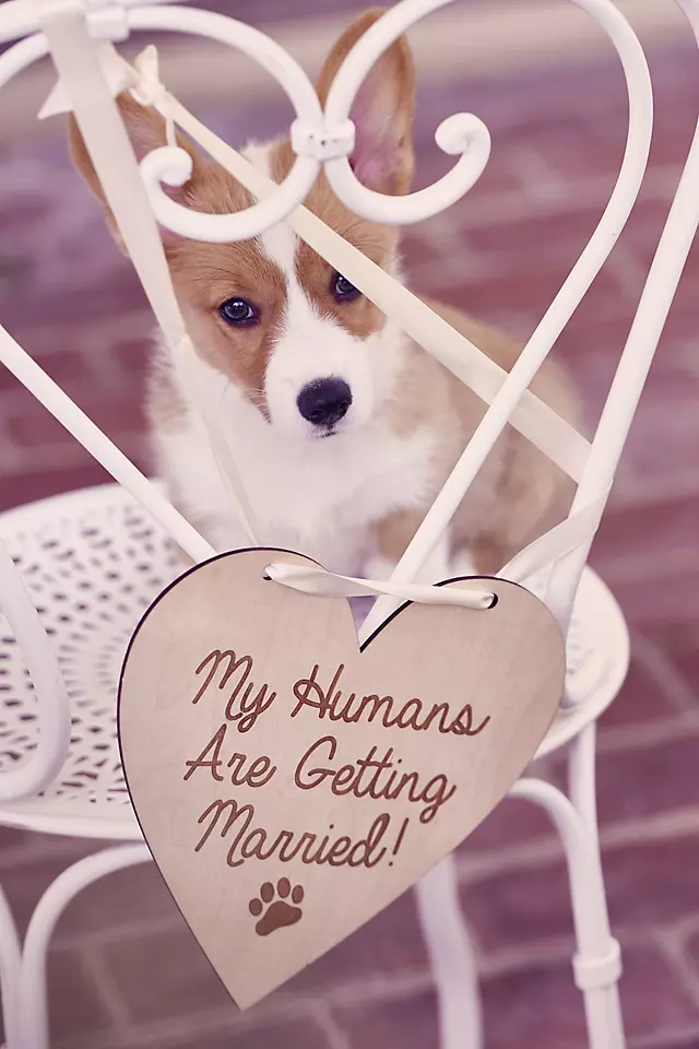 My Humans Are Getting Married Sign Image 4