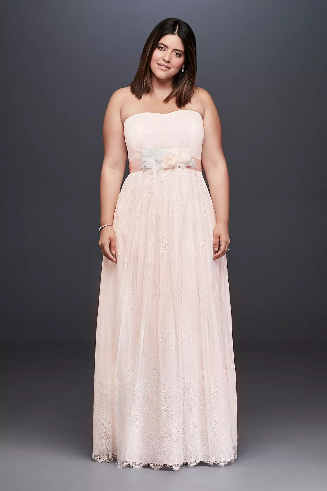 Soft Floral Lace Sheath Gown with Blush Lining Image
