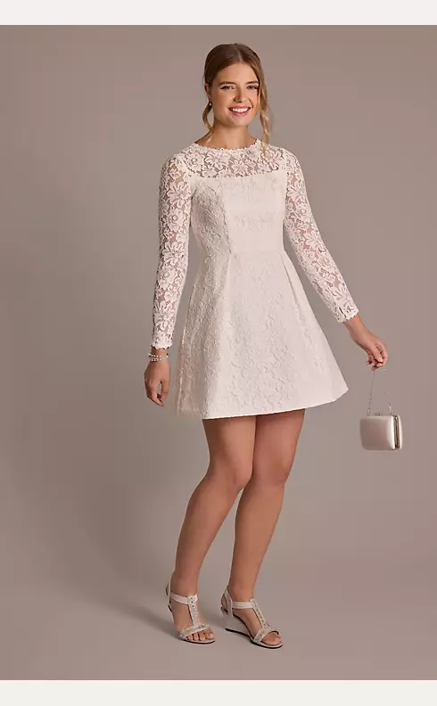 Long Sleeve Allover Lace Pleated Skirt Mini Dress Image 1
